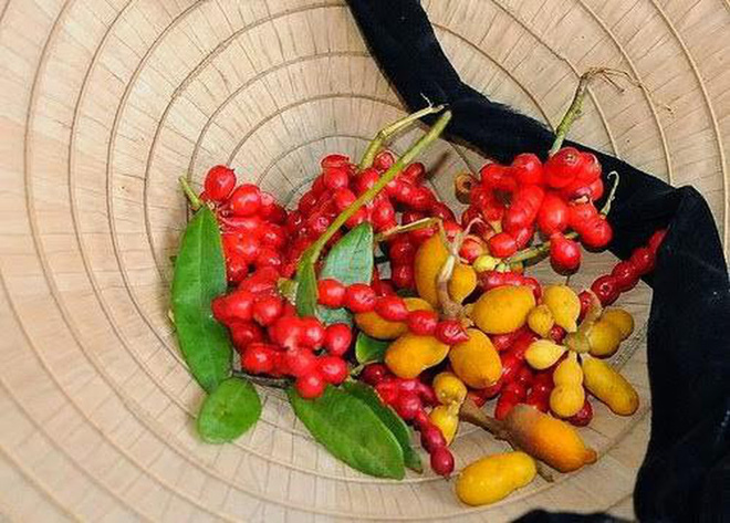 Việt Nam có 10 loại trái cây cực hiếm người biết mọc đầy ở các vùng quê, nghe tên thôi đã thấy lạ chứ nói chi ăn thử - Ảnh 10.