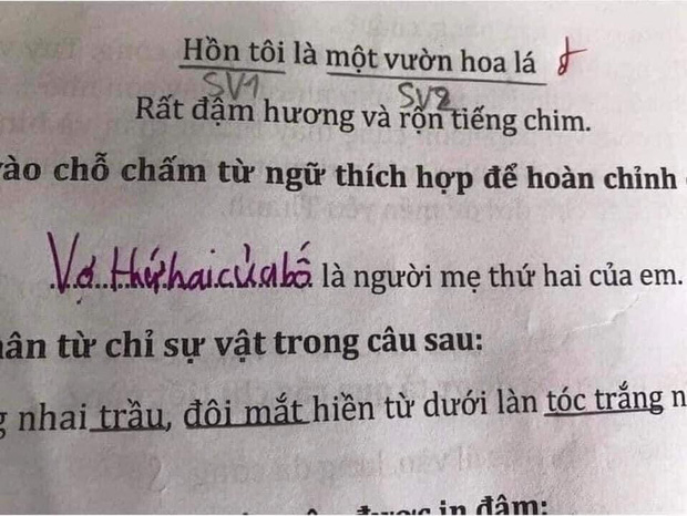 Hỏi người mẹ thứ hai của em là ai, học sinh lớp 1 có đáp án đi vào lòng người, gây câm nín - Ảnh 1.