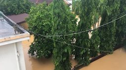 Quảng Trị: 13.800 nhà dân bị ngập lụt, sơ tán hơn 10.000 người chạy lũ
