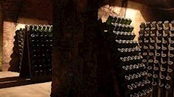 Rượu Vang Pháp, loại nào ngon nhất mà bạn nhất định phải thử