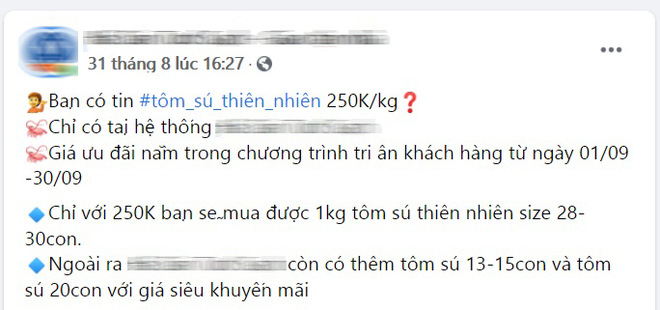 Tôm sú nặng ngang tôm hùm xanh sụt giá, ở đâu bán rẻ? - Ảnh 2.