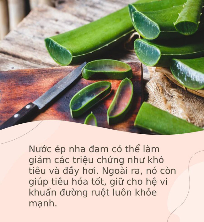  Cứ 10 người thì đến 9 người chỉ biết nha đam có tác dụng làm đẹp, nhưng nó còn nhiều lợi ích khác cho sức khoẻ, đặc biệt nhóm người này nên tránh  - Ảnh 1.