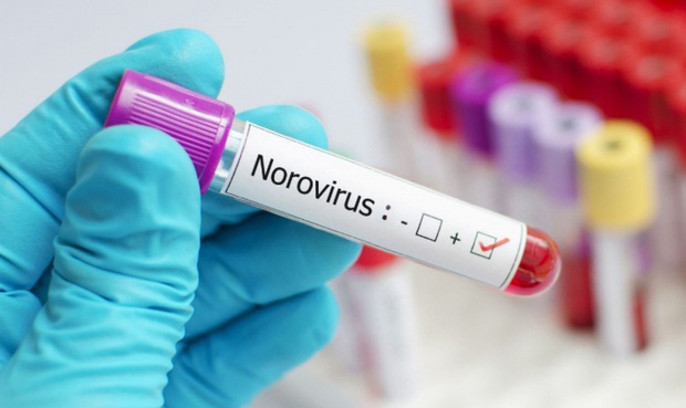 Trung Quốc: Hơn 70 sinh viên nghi nhiễm norovirus - Ảnh 1.