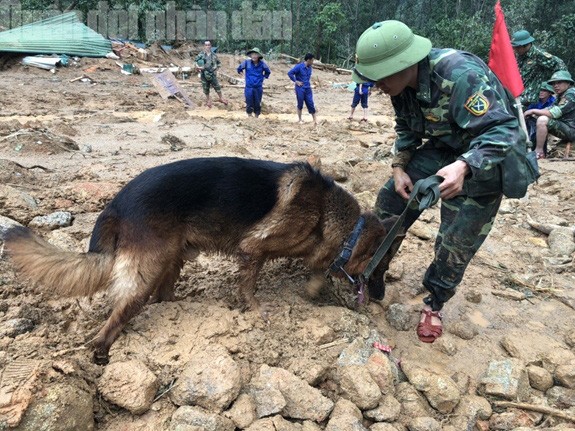 19h20: Đã tìm thấy toàn bộ 13 thi thể cán bộ, chiến sĩ bị vùi lấp tại Tiểu khu 67 - Ảnh 7.