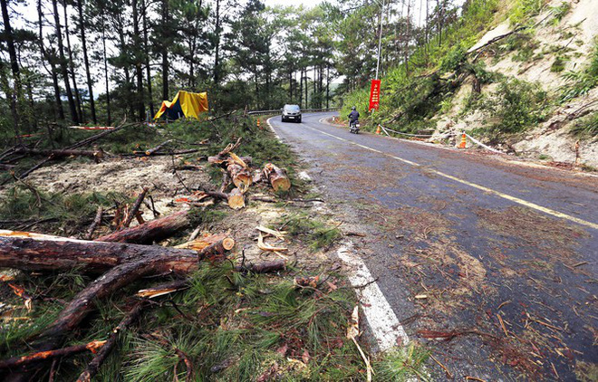 Nhiều cây ngã đổ trên đường, 2 người bị thương ở đèo Prenn - Ảnh 1.