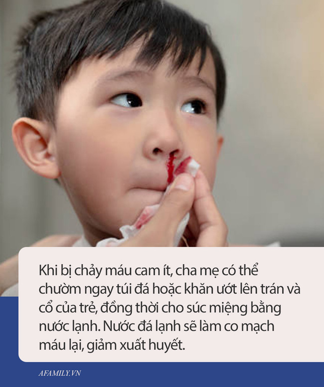 Cậu bé 2 tuổi chảy máu cam, người mẹ sai lầm trong cách sơ cứu khiến con trai tử vong ngay lập tức - Ảnh 1.