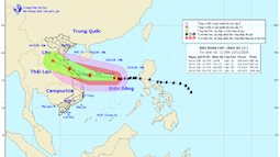Bão số 13 giật cấp 15 chuẩn bị đổ bộ, từ Hà Tĩnh đến Quảng Nam mưa rất to từ ngày mai