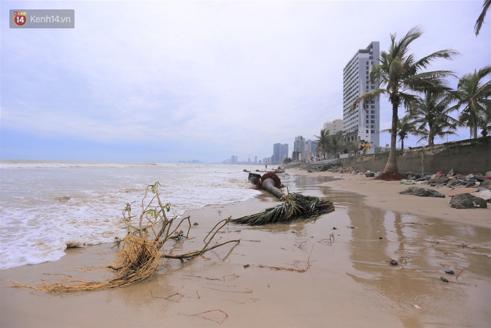 Ảnh: Cận cảnh bãi biển đẹp nhất hành tinh tan hoang, xơ xác sau bão số 13 - Ảnh 14.