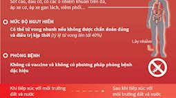 Gia tăng bệnh Whitmore sau mưa lũ, Bộ Y tế yêu cầu giám sát chặt chẽ