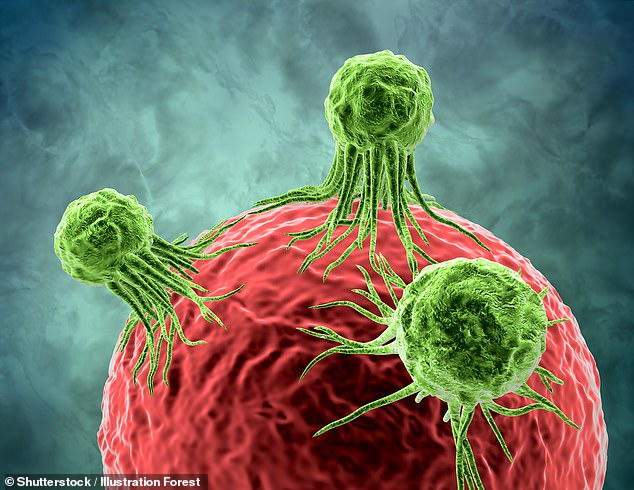 Các nhà khoa học tìm ra cách tiêu diệt tế bào ung thư bằng công nghệ mới đột phá, không gây tác dụng phụ - Ảnh 3.