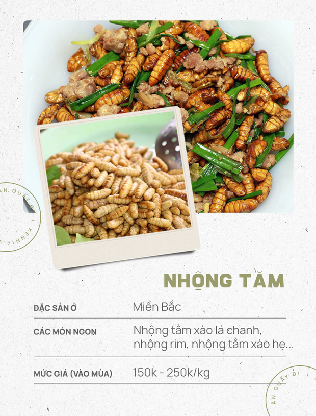 Những đặc sản làm từ sâu của Việt Nam khiến nhiều người khóc thét, có loại còn được săn lùng với mức giá cao chót vót - Ảnh 8.