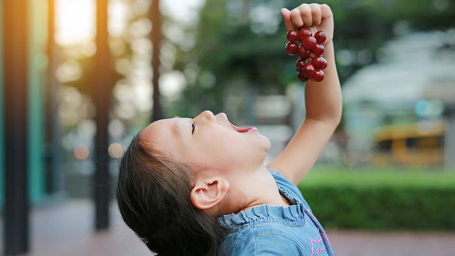 8 loại trái cây và rau củ màu tím mà bạn nên ăn hàng ngày - Ảnh 1.