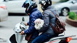 Miền Bắc rét đậm, rét hại, nền nhiệt Hà Nội giảm sâu, thấp nhất 11 độ C