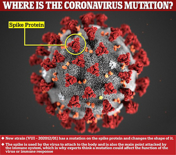 Biến thể mới của virus corona chủng mới đang lây lan quá nhanh - Ảnh 1.