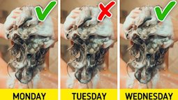 8 thói quen tưởng là vô hại nhưng lại chính là nguyên nhân khiến tóc bạn đầy gàu