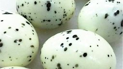 4 kiểu trứng hỏng gây hại cho sức khỏe nhưng nhiều người vẫn tiếc rẻ mà cố ăn