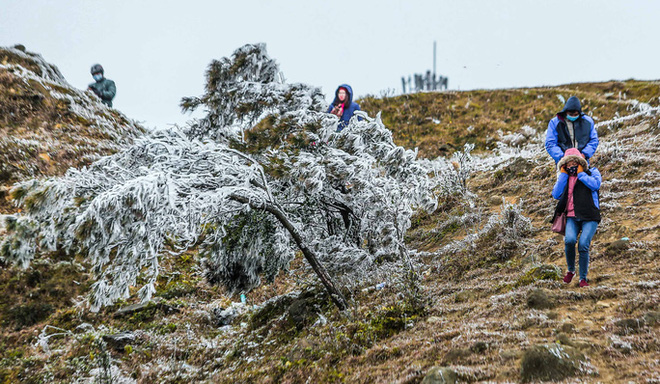 Hàng ngàn du khách bất chấp rét buốt lên đỉnh Mẫu Sơn ngắm băng tuyết - Ảnh 11.