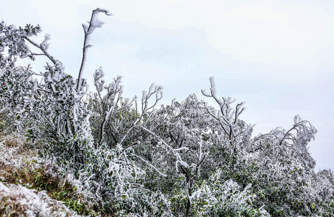 Hàng ngàn du khách bất chấp rét buốt lên đỉnh Mẫu Sơn ngắm băng tuyết - Ảnh 14.