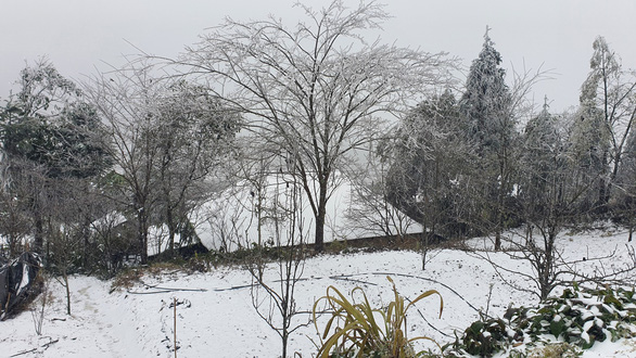 Cận cảnh tuyết rơi trắng xóa tại Y Tý, Sa Pa - Ảnh 2.