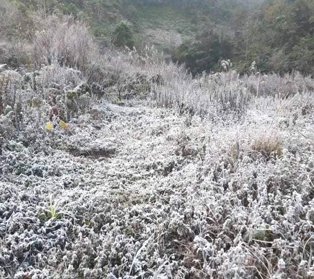 Nhiều nơi ở Nghệ An xuất hiện băng giá, cây cối, vật dụng đều bị đóng băng - Ảnh 14.