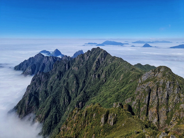 Cư dân mạng thi nhau khoe ảnh tươi nhất - héo nhất năm 2020: Vì đời toàn những cú cua gấp khét lẹt chẳng ai ngờ! - Ảnh 7.