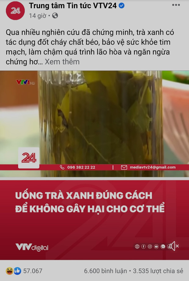 VTV bất ngờ có mặt giữa tâm biến Sơn Tùng - trà xanh, đăng post kiến thức ngỡ không liên quan mà khiến netizen vỗ tay rần rần - Ảnh 2.