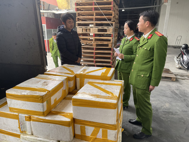 Thu mua 2,5 tạ cá khoai ướp phoóc-môn từ Quảng Bình về Thanh Hóa tiêu thụ  - Ảnh 1.