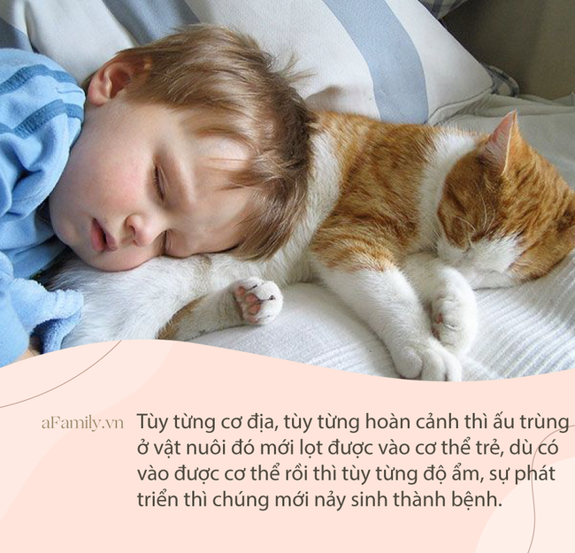 Tranh cãi dữ dội về clip mèo ngủ cạnh bé sơ sinh nhưng CĐM vẫn khẳng định bị “đốn tim” vì chi tiết đáng yêu này - Ảnh 3.