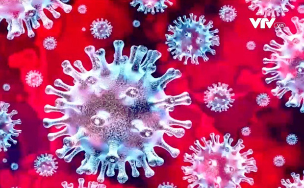 Mỗi ca bệnh COVID-19 đều ẩn chứa cơ hội để virus biến chủng ngẫu nhiên - Ảnh 1. Mỗi ca bệnh COVID-19 đều ẩn chứa cơ hội để virus biến chủng ngẫu nhiên - Ảnh 1.