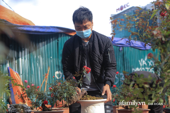 Mấy ai buồn như tiểu thương buôn, bán đào quất, treo biển sale sập sàn chẳng ai mua, gần Tết rồi mà 