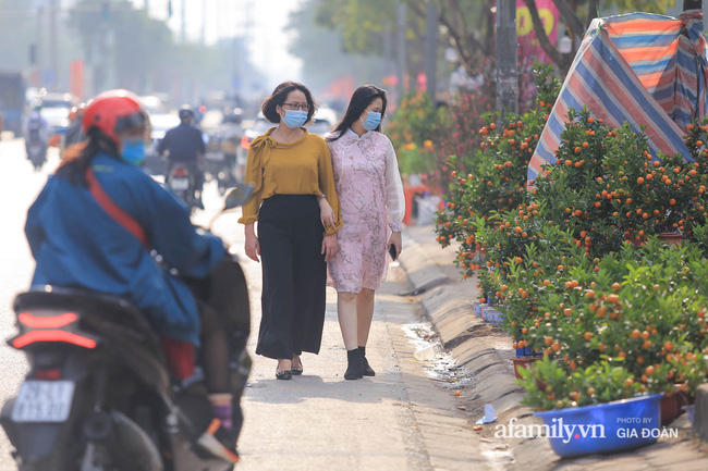 Mấy ai buồn như tiểu thương buôn, bán đào quất, treo biển sale sập sàn chẳng ai mua, gần Tết rồi mà 