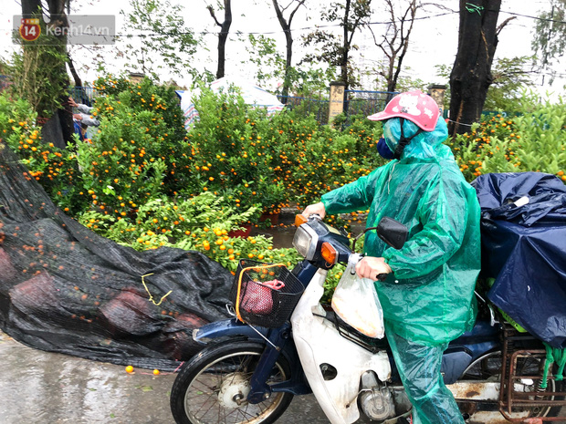 Cận cảnh hàng trăm gốc quất ở Hà Nội đổ la liệt vì mưa lớn ngày 28 Tết, tiểu thương khóc nghẹn: Chưa năm nào buồn như Tết năm nay - Ảnh 4.