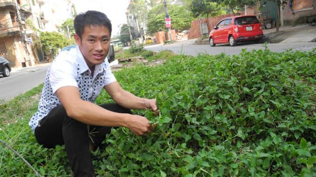 5 phim Việt tri ân những nhà giáo đặc biệt: Thung Lũng Hoang Vắng còn gieo cả điều kỳ diệu ngoài đời thực! - Ảnh 3.