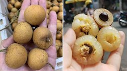 Có thể bạn chưa biết: Việt Nam có loại nhãn lạ, cùi cuộn như bắp cải, giá cao gấp 5 lần nhãn thường vẫn được săn lùng