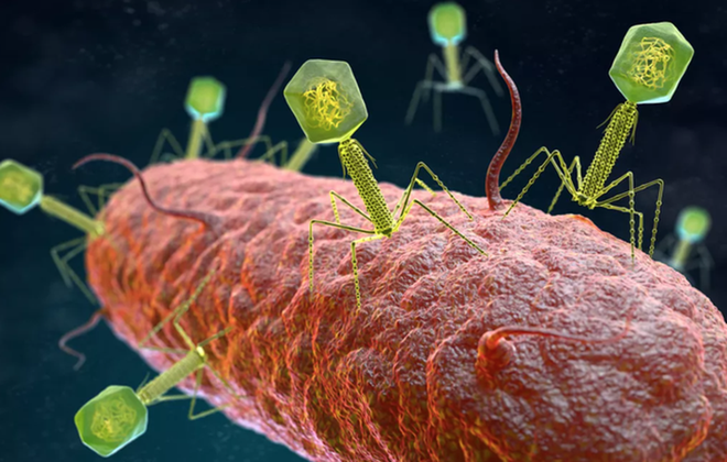 Phát hiện 70.000 loại virus chưa từng biết tới trong ruột con người - Ảnh 1.