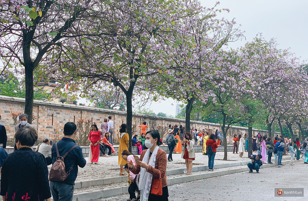 Hà Nội chiều Chủ nhật, dân tình rộn ràng chụp ảnh đông nghịt trên con đường hoa ban tím - Ảnh 3.