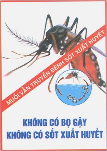 Bệnh sốt xuất huyết: Có 2 trường hợp tử vong, bất kì ai cũng cần biết những điều nên và không nên làm khi bị sốt xuất huyết - Ảnh 27.