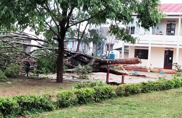 Sét đánh chết 1 người, lốc xoáy thổi bay 70 mái nhà ở Lâm Đồng - Ảnh 2.