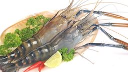 Tôm giúp phái yếu tăng ham muốn