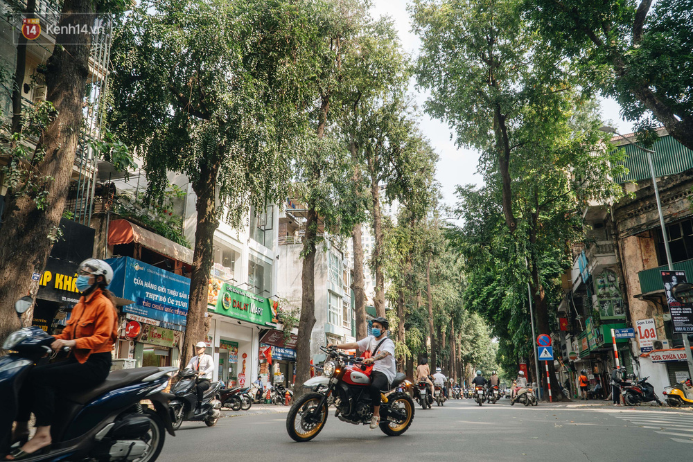 Những tuyến phố có hàng cây xanh được quy hoạch 100 năm trước ở Hà Nội giờ ra sao? - Ảnh 1.