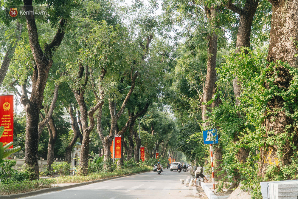 Những tuyến phố có hàng cây xanh được quy hoạch 100 năm trước ở Hà Nội giờ ra sao? - Ảnh 11.