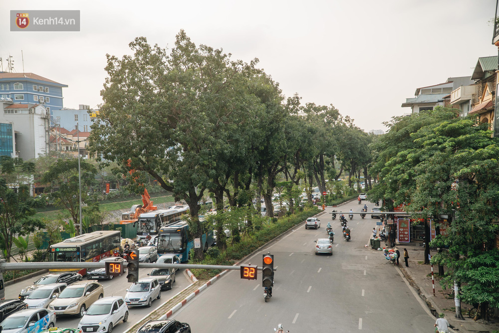 Những tuyến phố có hàng cây xanh được quy hoạch 100 năm trước ở Hà Nội giờ ra sao? - Ảnh 13.