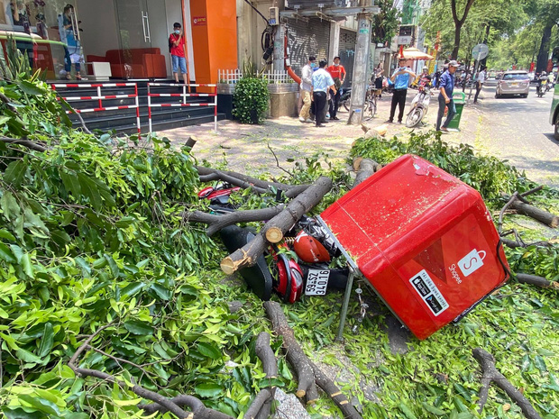 Rùng mình nhánh cây khủng rơi đè bẹp xe máy giao hàng Shopee ở trung tâm Sài Gòn - Ảnh 1.