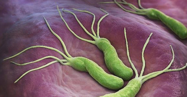 3 loại thực phẩm là kẻ thù của vi khuẩn Helicobacter pylori, ăn thường xuyên bệnh dạ dày sẽ không dám bén mảng đến gần - Ảnh 1.