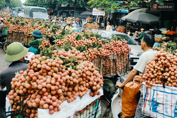 Netizen cả nước hướng về Bắc Giang: Bắc Giang cố lên! Vải thiều cố lên! - Ảnh 3.