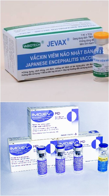 Khác biệt giữa 2 căn bệnh nguy hiểm, hay gặp ở trẻ nhỏ: Viêm não mô cầu và viêm não Nhật Bản - Ảnh 7.