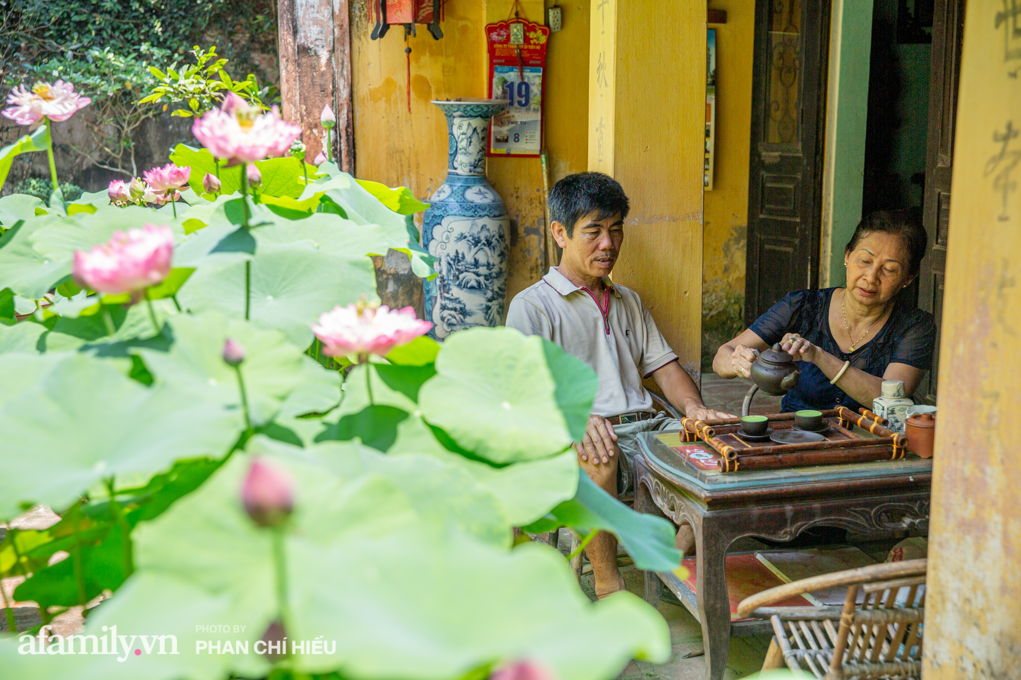 Đôi vợ chồng sở hữu căn nhà cổ 100 năm tuổi tại Hà Nội sưu tập và trồng hàng trăm gốc sen cung đình Huế quanh nhà khiến ai đi qua cũng phải trầm trồ - Ảnh 12.