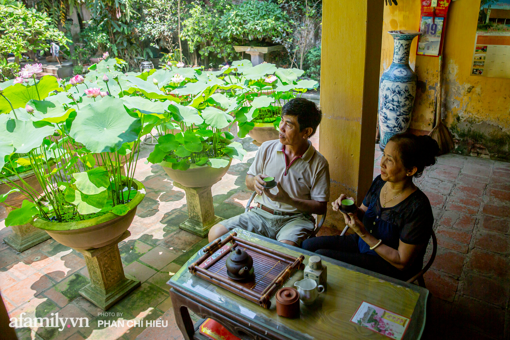 Đôi vợ chồng sở hữu căn nhà cổ 100 năm tuổi tại Hà Nội sưu tập và trồng hàng trăm gốc sen cung đình Huế quanh nhà khiến ai đi qua cũng phải trầm trồ - Ảnh 13.