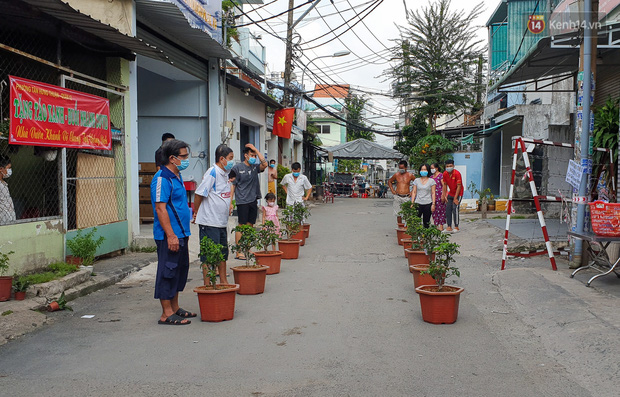 Góc cưng xỉu: Người dân Sài Gòn trong khu cách ly thi trồng cây táo, chờ táo nở hoa - Ảnh 6.