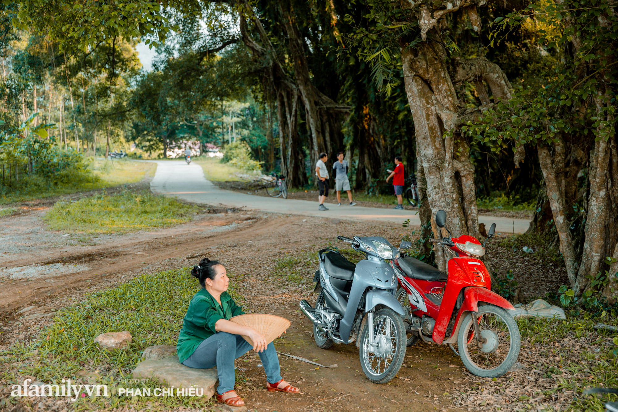Ngôi làng độc nhất Việt Nam sở hữu chiếc cổng từ cây đại thu 800 năm tuổi, từng là bối cảnh cực ấn tượng trong những bộ phim về làng quê Việt Nam - Ảnh 2.